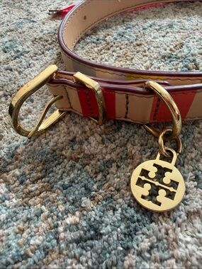 Tory Burch dog collar, multicolor